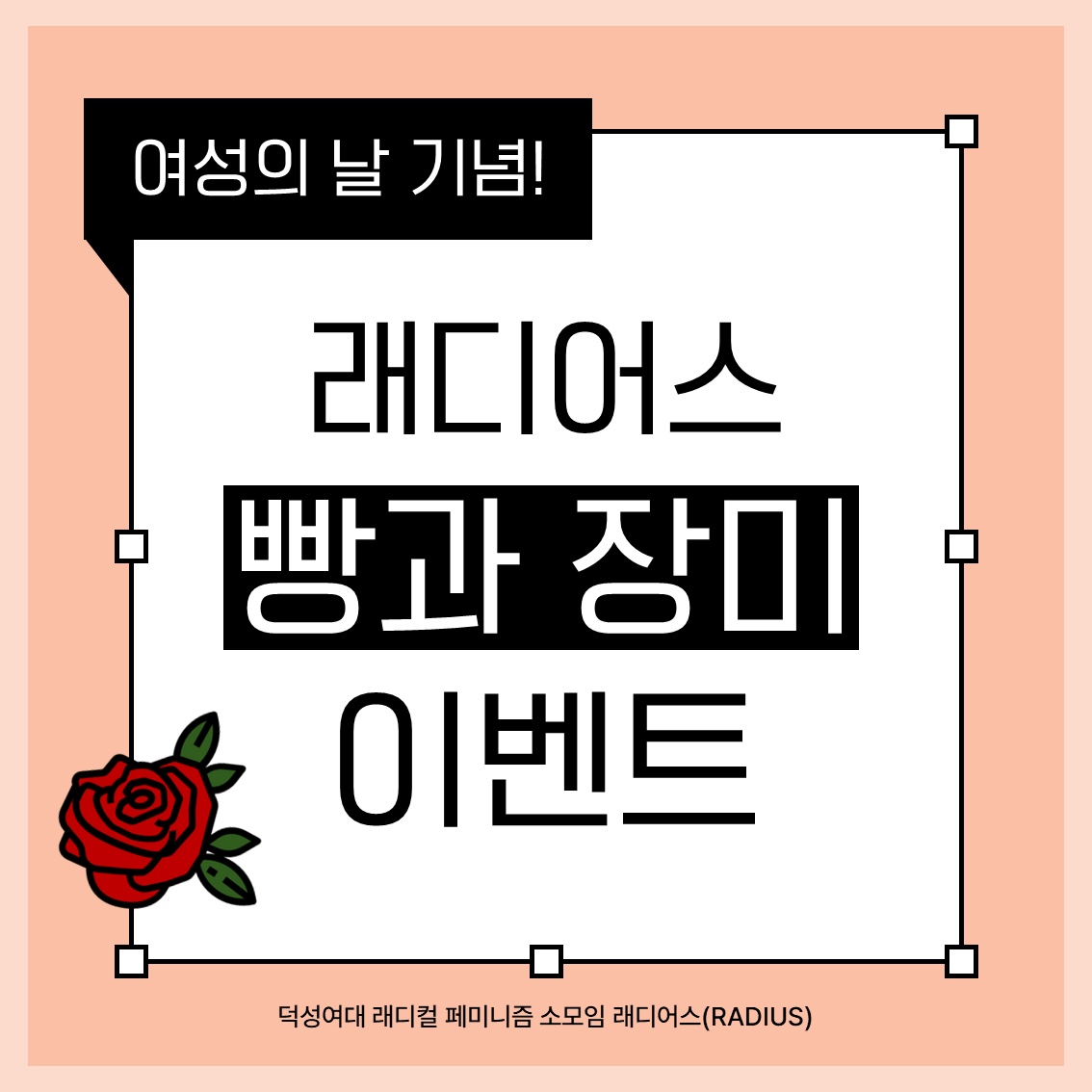 세계 여성의 날 기념 빵과 장미 이벤트 이미지